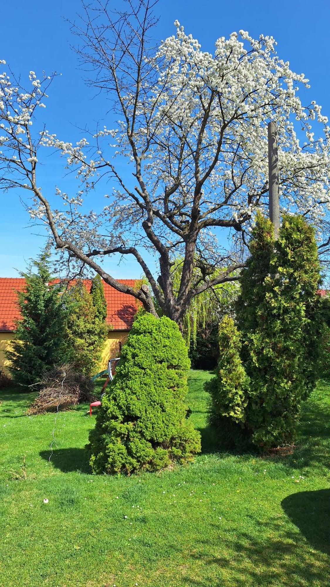 Prague Zbraslav Old Garden Apartment Екстериор снимка